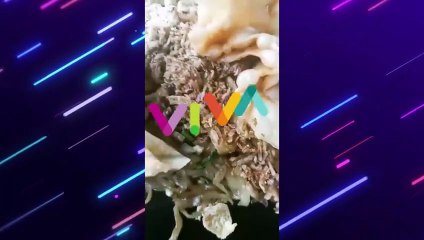 Konsumen Mie Gacoan Curhat, Ada Belatung di Pesanannya