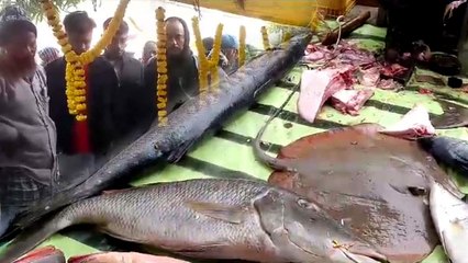 ৫০০ বছরেরও বেশি প্রাচীন হুগলির মাছ মেলা, কেন হয় জানেন?