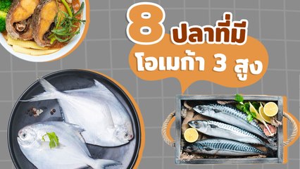 ปลาที่มีโอเมก้า 3 สูง มีปลาชนิดไหนบ้าง กินดีมีประโยชน์