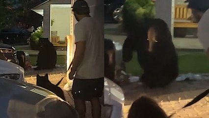 Terrifying Moment Bear Charges Towards Man On His DRIVEWAY