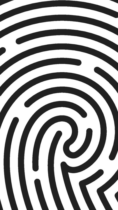 CAM - Pourquoi nos empreintes digitales sont-elles uniques ?