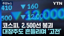 코스피 한 달 만에 2,500선 붕괴...