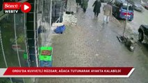 Ordu'da kuvvetli rüzgar; ağaca tutunarak ayakta kalabildi