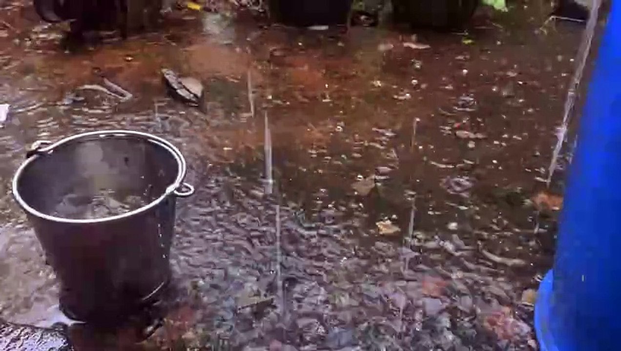 rain asmr