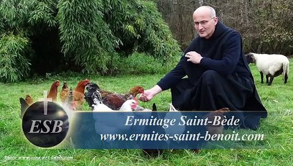 Communion Mirabantur omnes du Troisième dimanche après l’Épiphanie - Ermitage Saint-Bède - Jean-Claude Guerguy pour Ciné Art Loisir.
