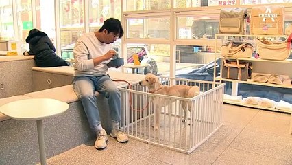 반려견 양육비로 월평균 ‘16만 원’ 쓴다