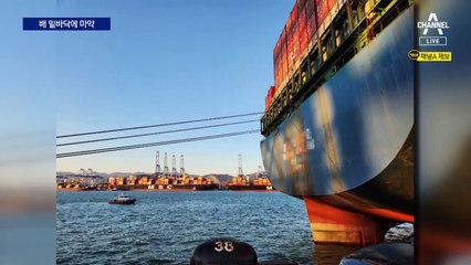 화물선 바닥서 ‘3500억 마약’ 적발