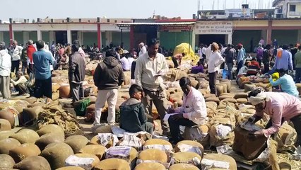 महंगाई के इस दौर में नहीं बढ़े गुड़ के दाम