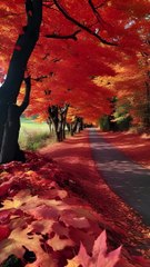 nature short video post- 3 #nature #post #videos