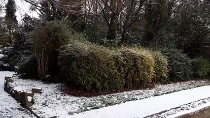 Snow in Halifax