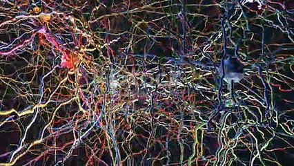 The Art of Cleverness: Unraveling the Mystery