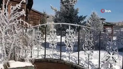 Türkiye'nin en soğuk noktasından inanılmaz görüntüler: Kurtlar mahalleye indi