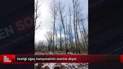 Kestiği ağaç kamyonetinin üzerine düşen talihsiz adam kamerada
