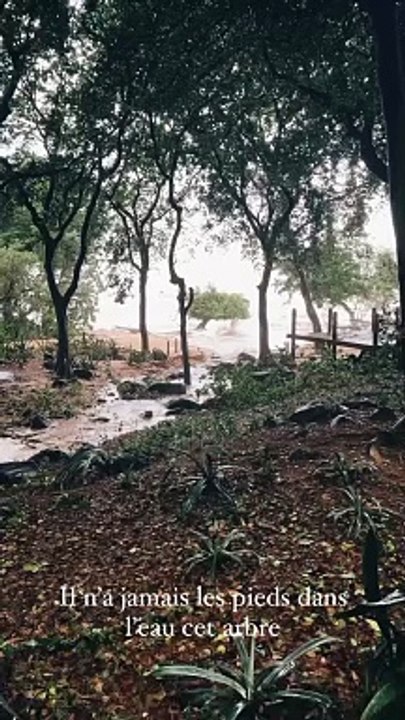Gérémy Crédeville à l'île Maurice en plein cyclone Belal, il partage quelques images des dégâts sur Instagram.