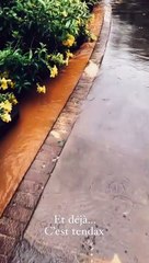 Gérémy Crédeville à l'île Maurice en plein cyclone Belal, il partage quelques images des dégâts sur Instagram.