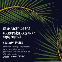 -Jacobo Shemaria Capuano- ¡Para reducir su huella de plástico! (Parte 2) (Creado por @JacoboShemariaCapuano)