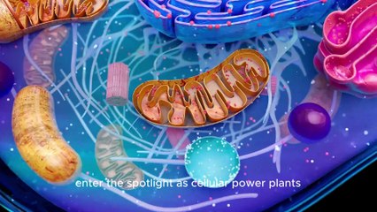 @ Biomolecules Unveiled_ The Building Blocks of Life Explained