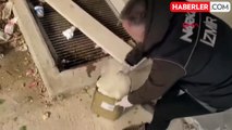 İzmir'de Kargo Firmasında 9 Kilo Esrar Ele Geçirildi