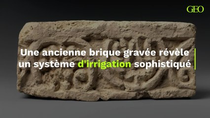 Une ancienne brique gravée révèle un système d'irrigation sophistiqué