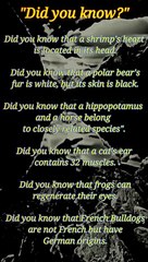 Sayings in psychology