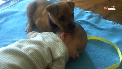 Video: Zostawiają noworodka ze szczeniakiem. Uroczą scenę obejrzało 140 mln osób