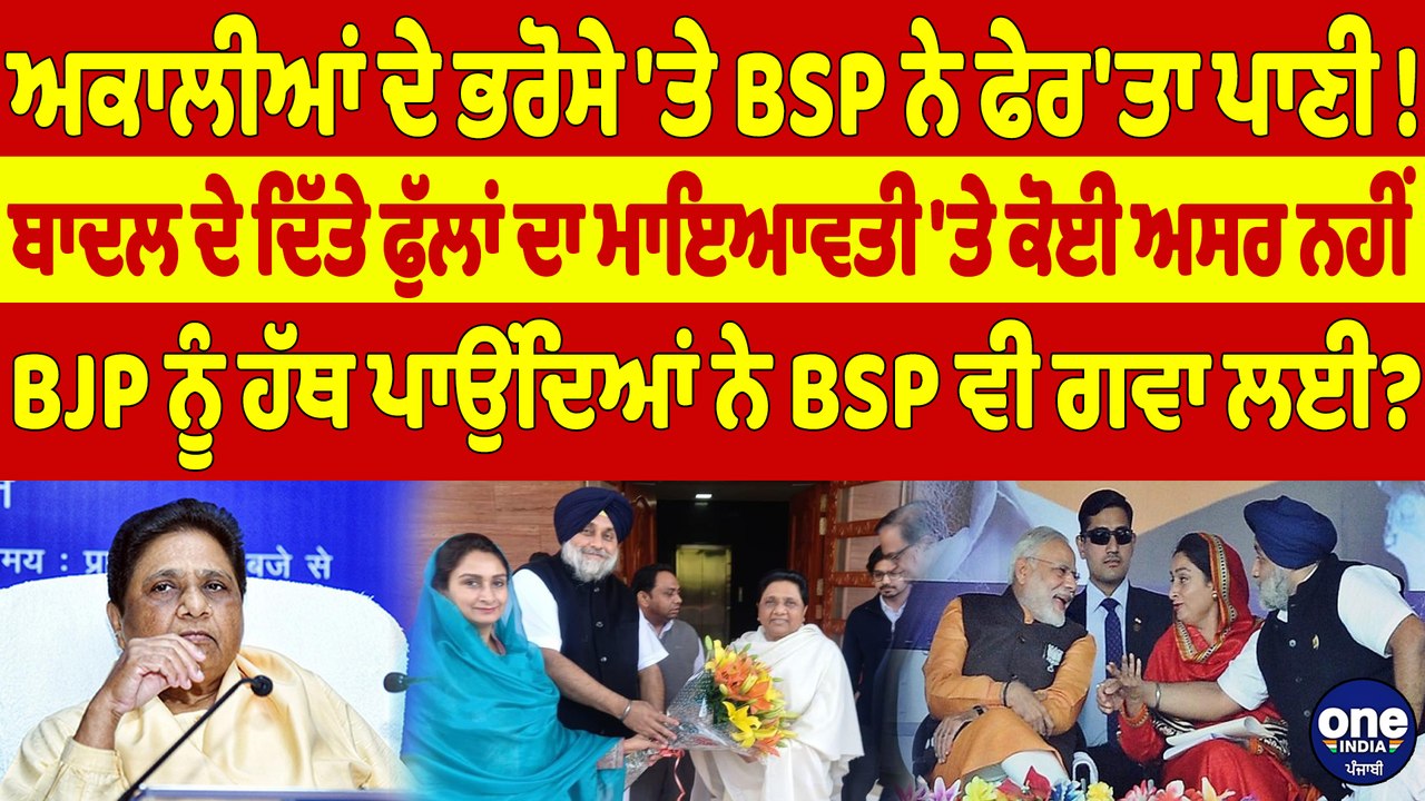 ਅਕਾਲੀਆਂ ਦੇ ਭਰੋਸੇ 'ਤੇ BSP ਨੇ ਫੇਰ'ਤਾ ਪਾਣੀ! ਬਾਦਲ ਦੇ ਦਿੱਤੇ ਫੁੱਲਾਂ ਦਾ ਮਾਇਆਵਤੀ 'ਤੇ ਕੋਈ ਅਸਰ ਨਹੀਂ |