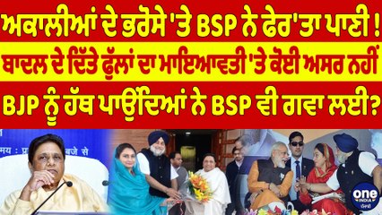 ਅਕਾਲੀਆਂ ਦੇ ਭਰੋਸੇ 'ਤੇ BSP ਨੇ ਫੇਰ'ਤਾ ਪਾਣੀ! ਬਾਦਲ ਦੇ ਦਿੱਤੇ ਫੁੱਲਾਂ ਦਾ ਮਾਇਆਵਤੀ 'ਤੇ ਕੋਈ ਅਸਰ ਨਹੀਂ |
