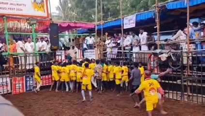 Jallikattu : बैलों को काबू करने के लिए बुल-टैमर्स ने दिखाया अदम्य साहस