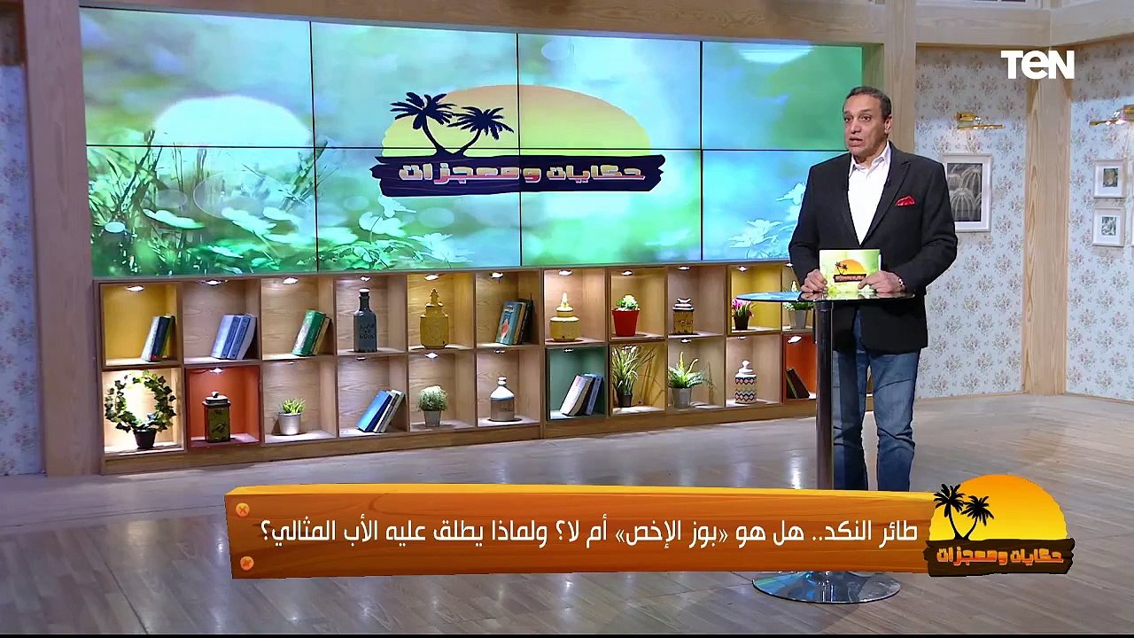 أغرب الطيور في العالم "طائر فم الضفدع" .. وأمراض خطيرة تهدد الدواجن في فصل الشتاء | حكايات ومعجزات