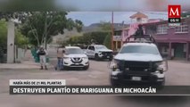Guardia Nacional y Ejército mexicano destruyen plantíos de marihuana en Michoacán