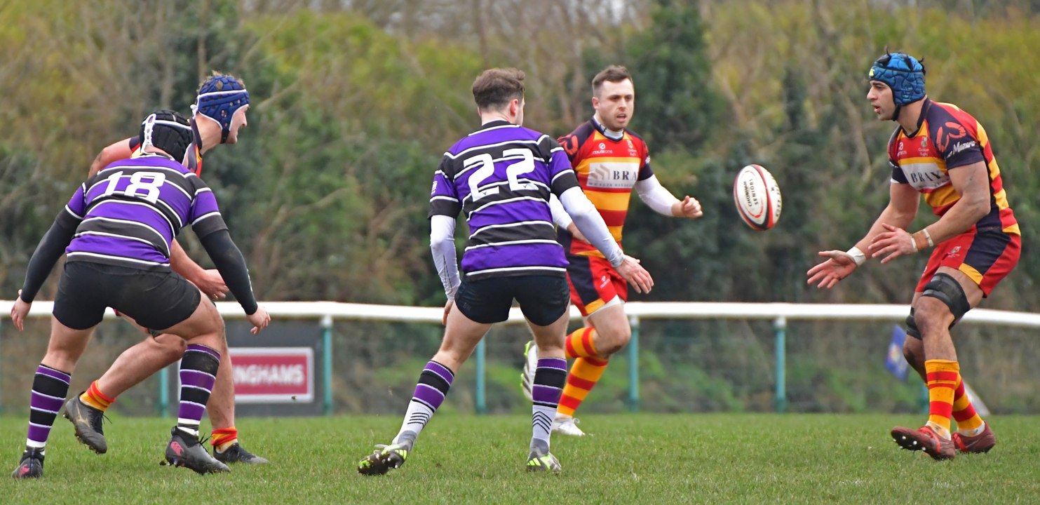REEL - Chobham RFC, scarlet and gold, lose 54-17 at home to Belsize Park on 13-1-24