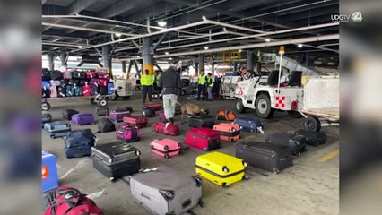 Con ayuda de un perro, guardia nacional decomisa mariguana en el aeropuerto