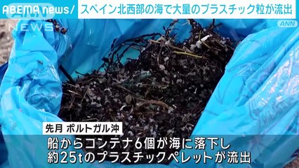 スペイン北西部の海で大量のプラスチック粒が流出(2024年1月16日)