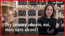 Dry January : du vin, oui, mais sans alcool !