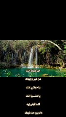 #shorts  وردة - من غيرك انت 1  - فيديو كليب video clip