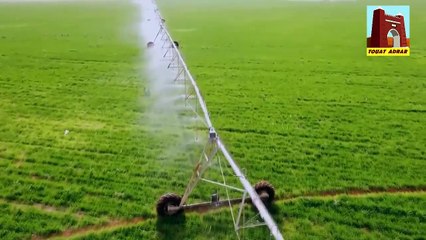 الزراعة بـ صحراء الجزائر ولاية المنيعة