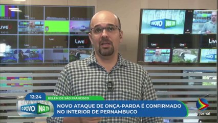 Novo ATAQUE DE ONÇA é CONFIRMADO no interior de Pernambuco