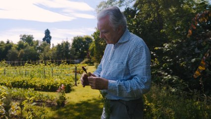La quête d'Alain Ducasse