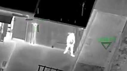 Wanted man hiding on back porch of home captured by police