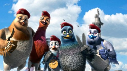 Vaillant, pigeon de combat !