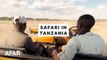 Tanzania Safari: Ruaha & Nyerere National Parks