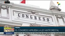 Congreso de Perú aprueba la Ley Antiforestal