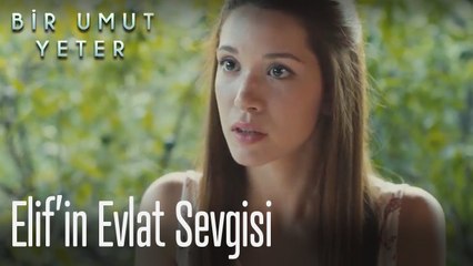 Elif'in evlat sevgisi
