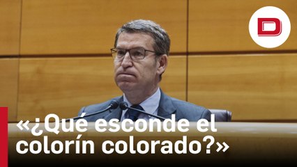 Feijóo demanda a Sánchez que explique sus pactos con Puigdemont: «¿En qué consiste el colorín colorado?»
