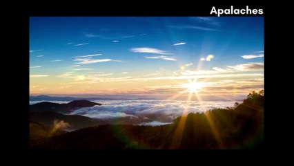 CurvaDOC 7 - Revolução Americana