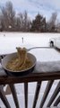 A Wintery Ghost Eats Ramen