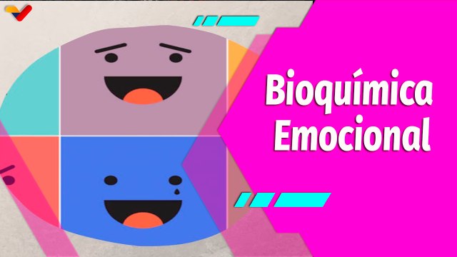Buena Vibra | Cuáles son las funciones de la Bioquímica Emocional