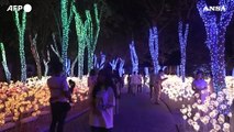 Thailandia, il grande spettacolo di luci del Nasatta Light Festival