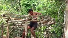 Bushman Building The Greatness Jungle Leaf House