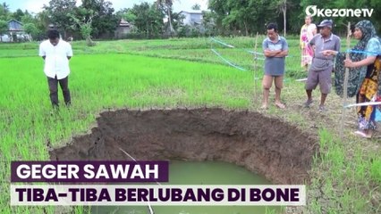 Geger Sawah Warga Tiba-Tiba Berlubang dan Diameter Terus Membesar di Bone
